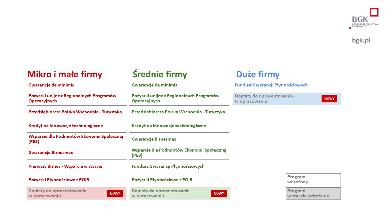 programy pomocowe bgk tarcza antykryzysowa dla przedsiebiorcow 02